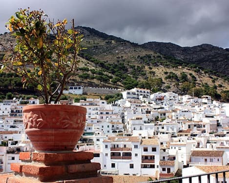 Discover Andalucia