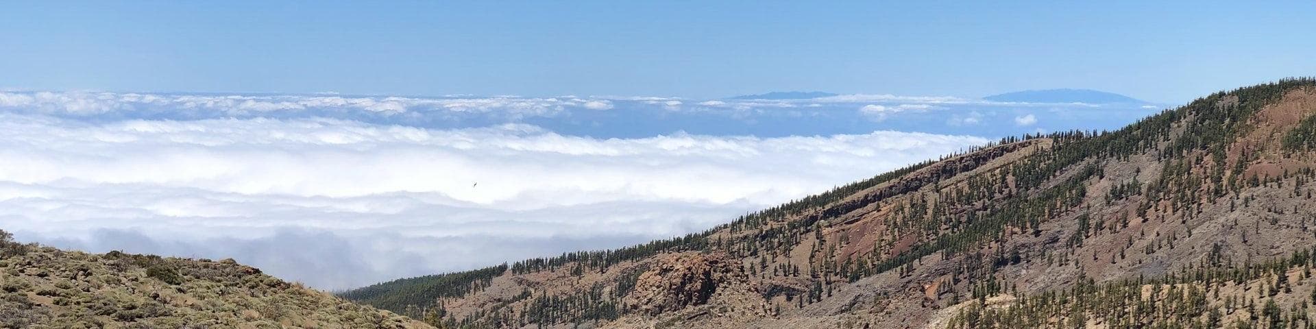 Costa Adeje Tenerife Sur, Spain