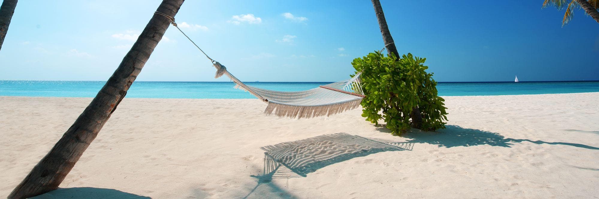 The Treasures of the Caribbean!