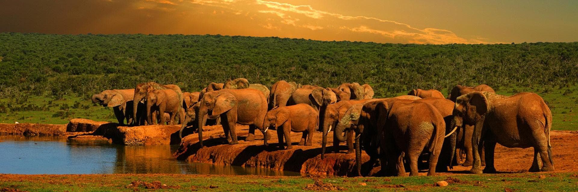 {banner.destination.getName(myLang)}