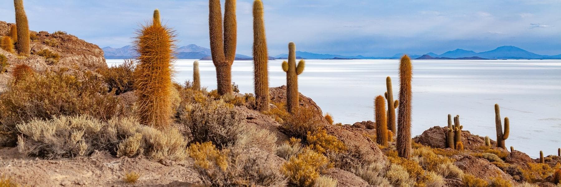 A dream-like country with natural abundance, diversity and stories waiting to be discovered.